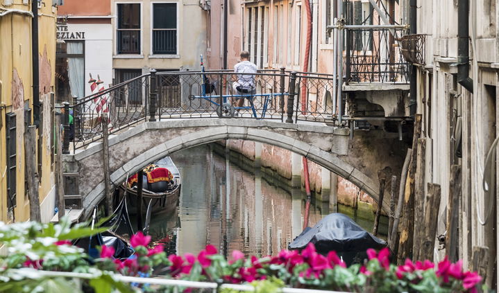 Venezia district