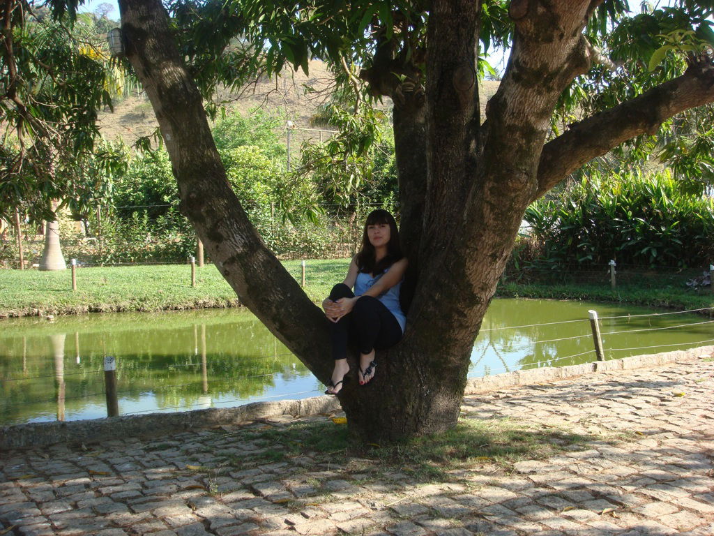 Ipatinga view 5