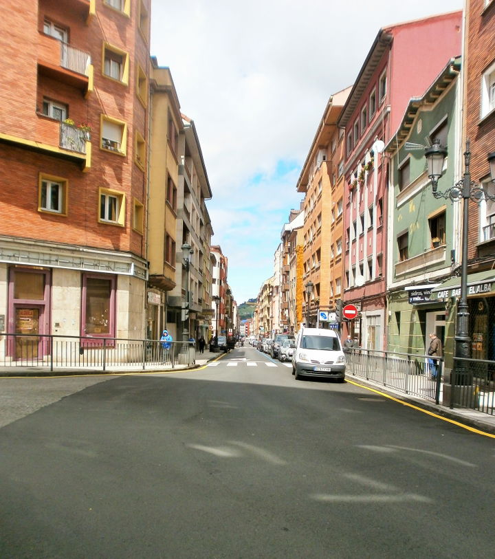 La Argañosa district