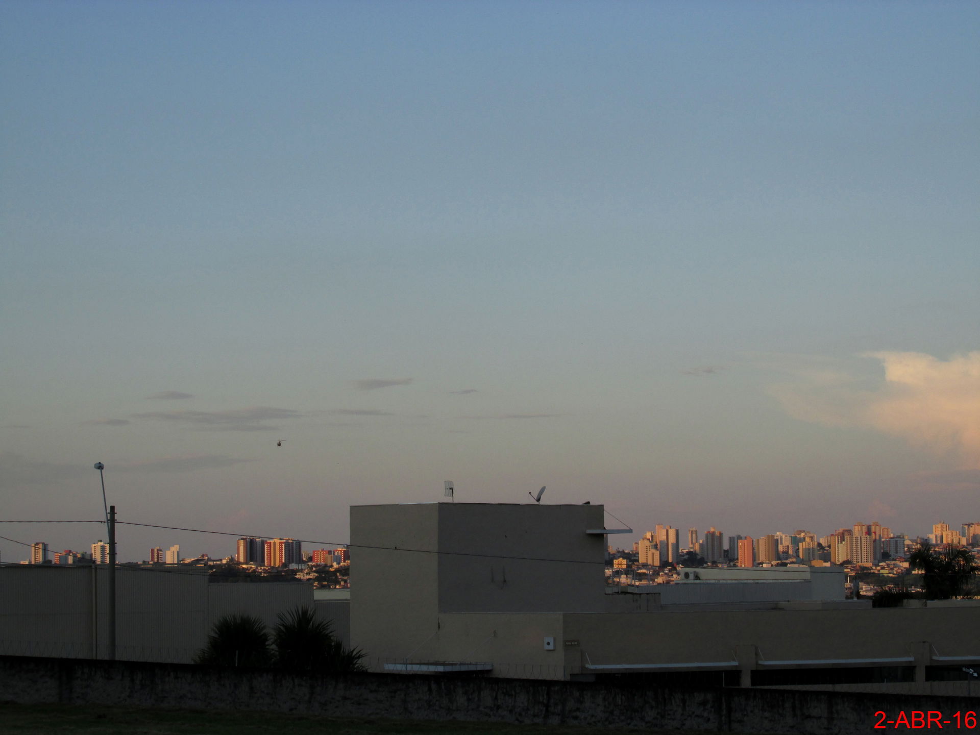 Jardim Brasil view 4