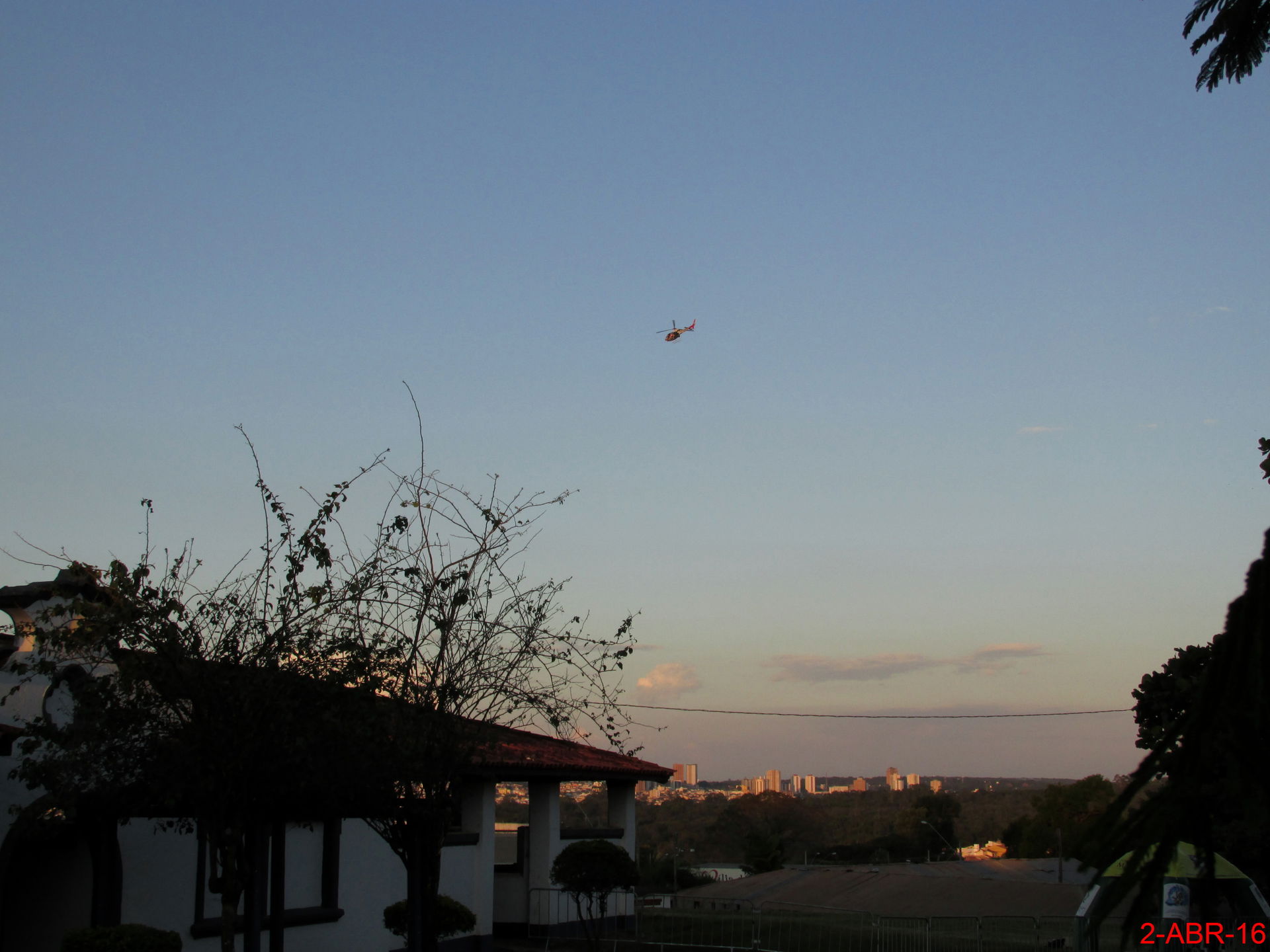 Jardim Brasil view 5