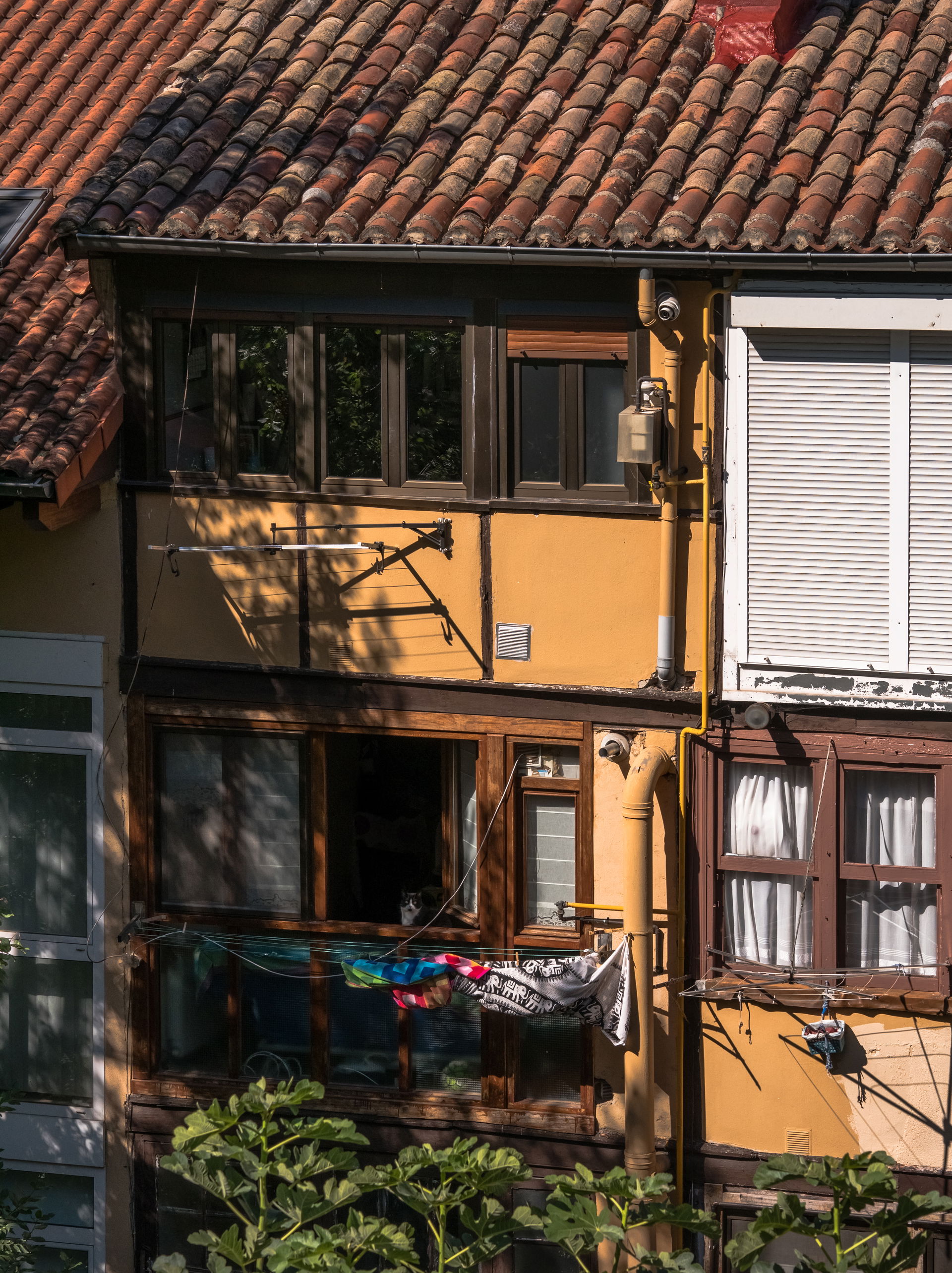 Casco Viejo view 2