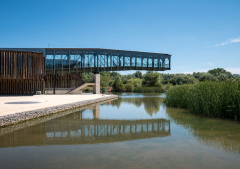 Salburua view 3
