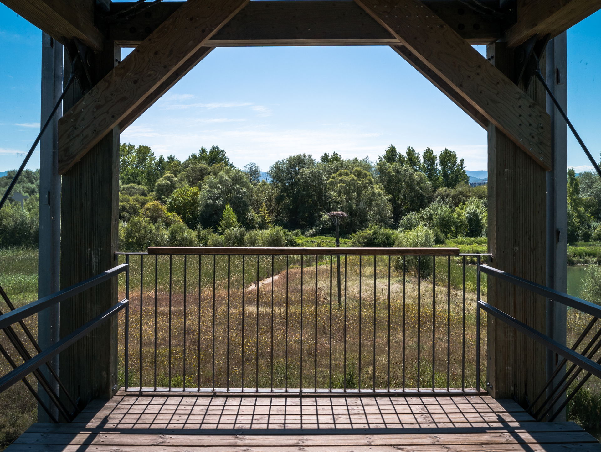Salburua view 4