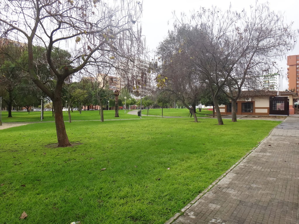Norte view 5