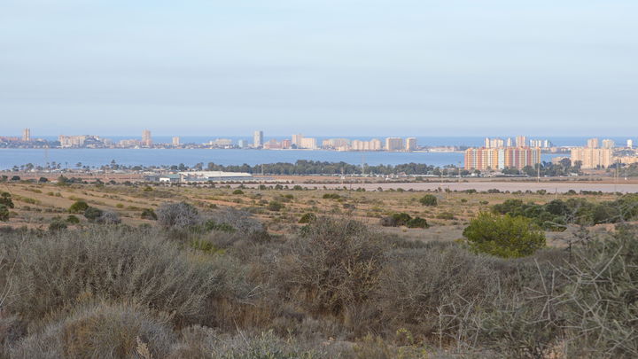 San Ginés district