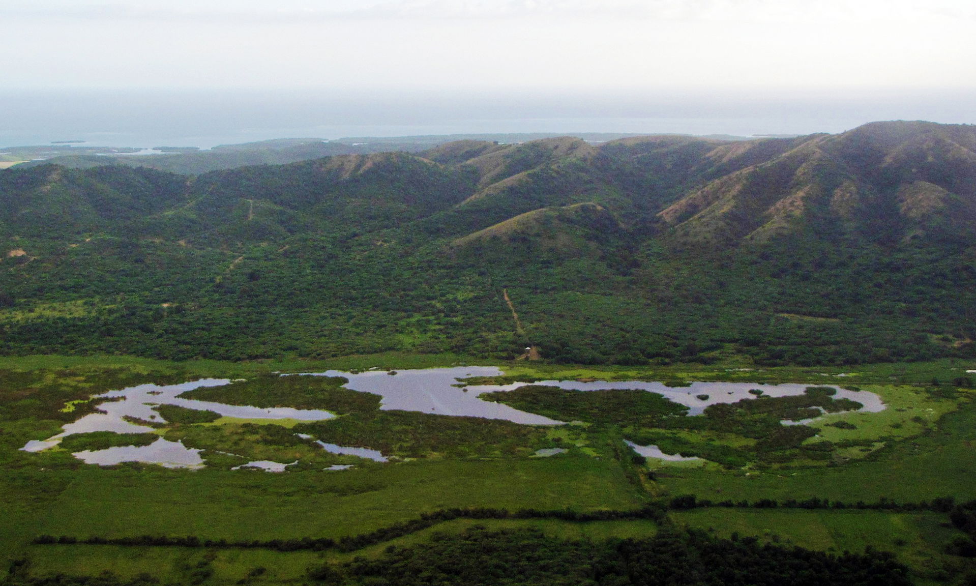G-2 view 2