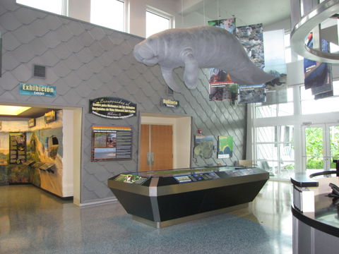 G-2 view 3