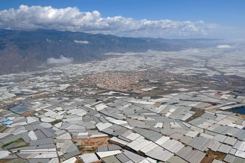 El Ejido view 2