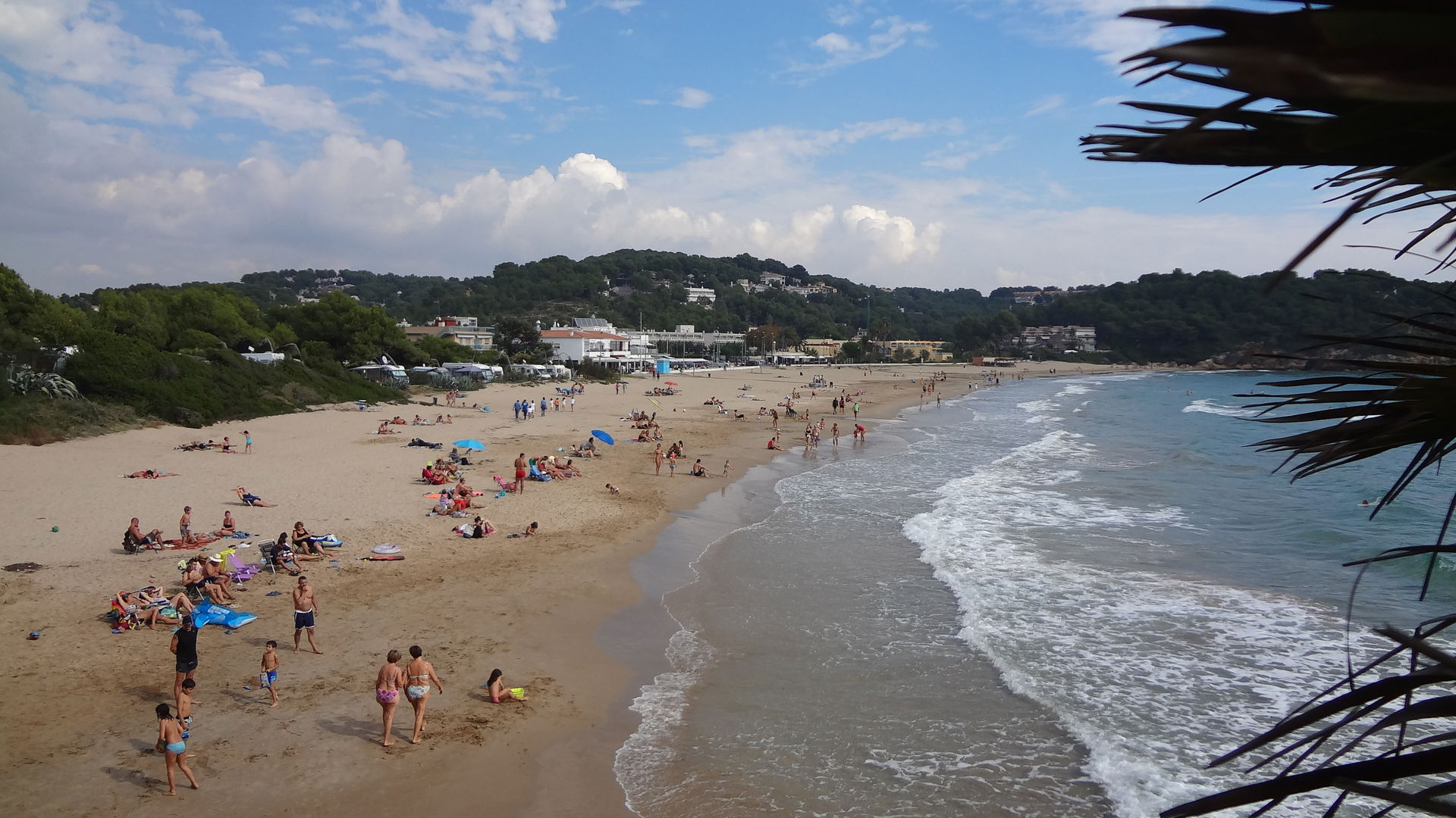 Ponent view 4