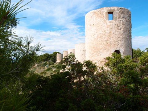 Molins view 3