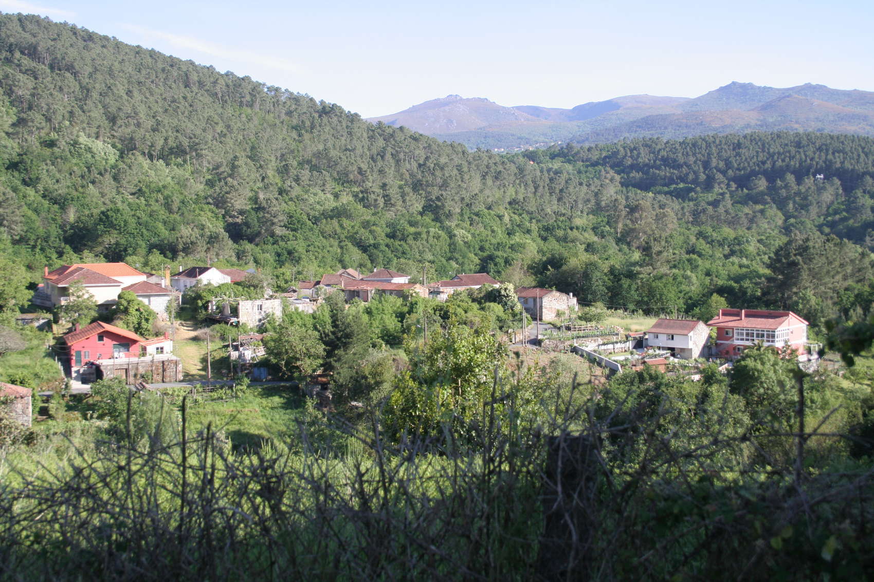 O Couto view 3
