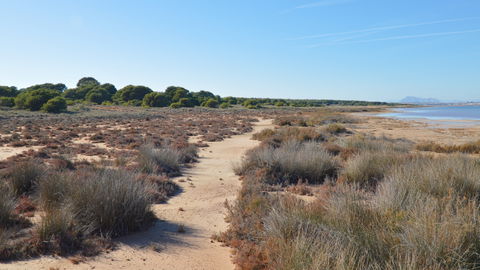 La Mata view 1