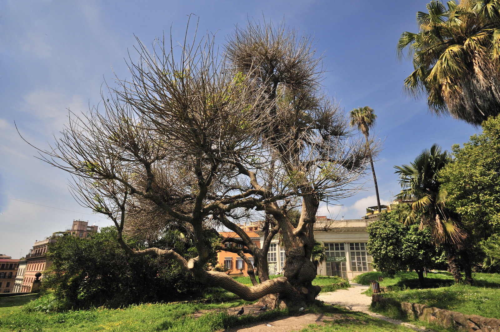 Villa Aldobrandini district