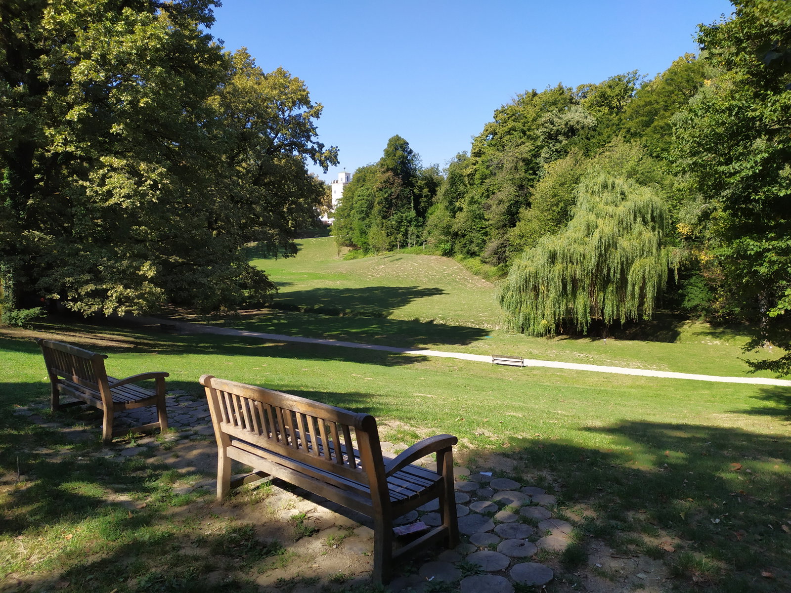 Maksimir district