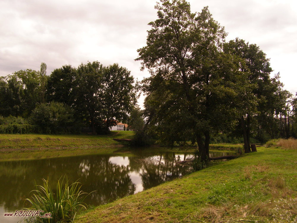 Brezovica district