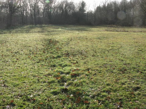 Aarschot view 3