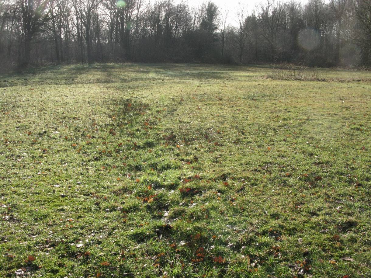 Aarschot_Aarschot_AchterSchoonhoven