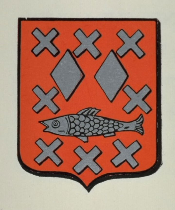 Brasschaat district
