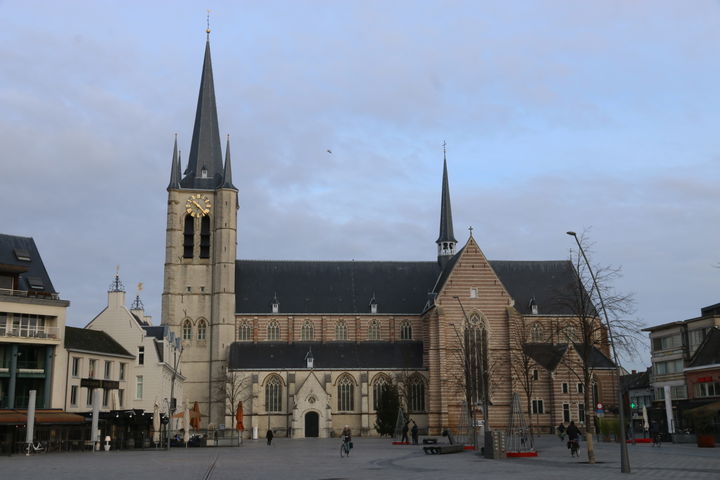 Geel district