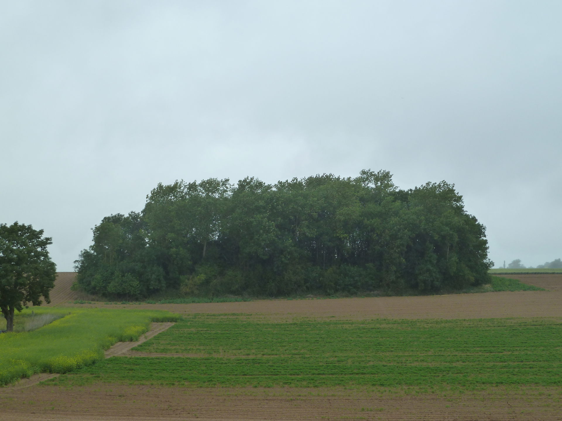 Hannut view 1