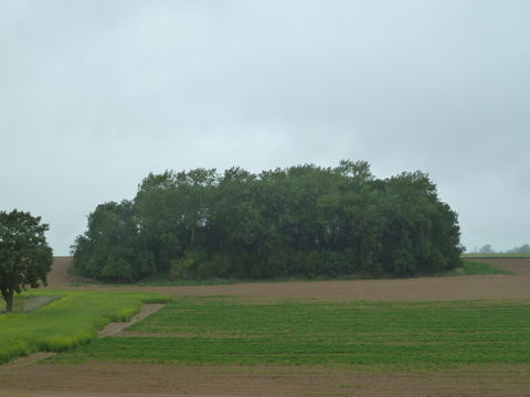 Hannut view 1