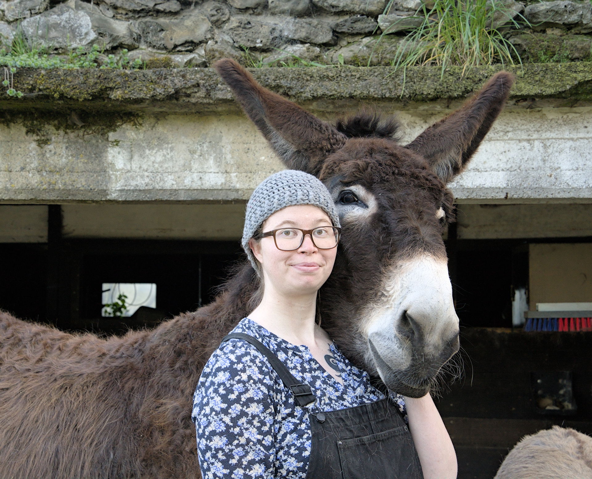 Woman hanging out with a donkey in the Ferme équestre de Louvai…
