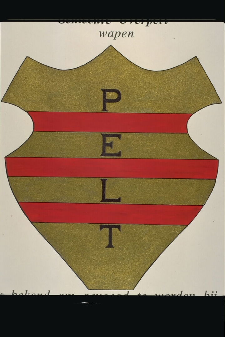 Overpelt district