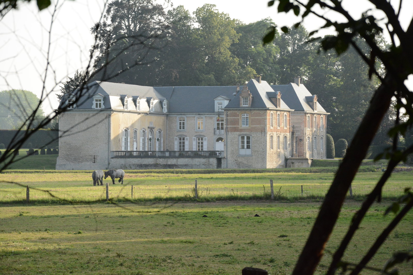 Zemst district