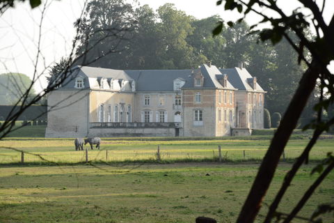 Zemst view 1
