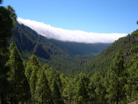 Nord view 2