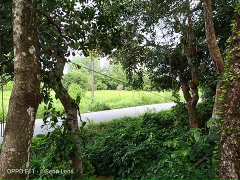 Pengkalan Kubor view 2