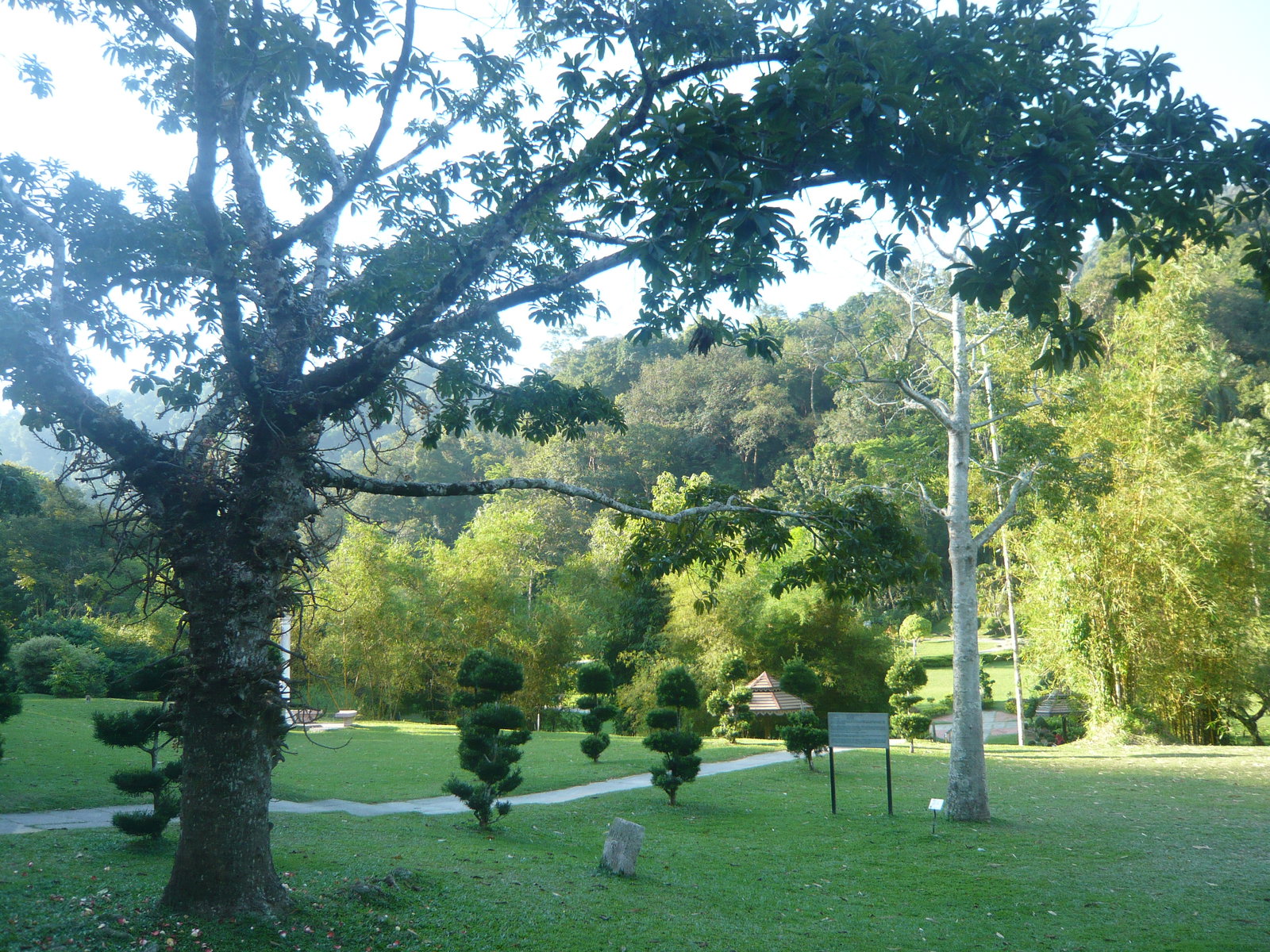 Kebun Bunga district