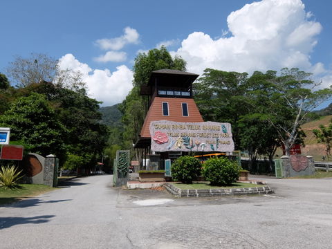 Telok Bahang view 2