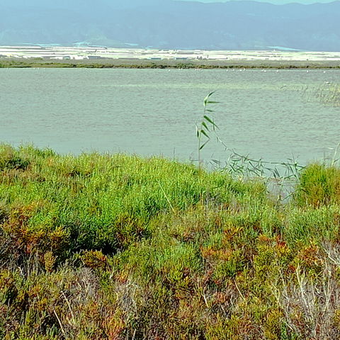 Las Salinas view 2