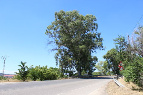 Alberche view 3