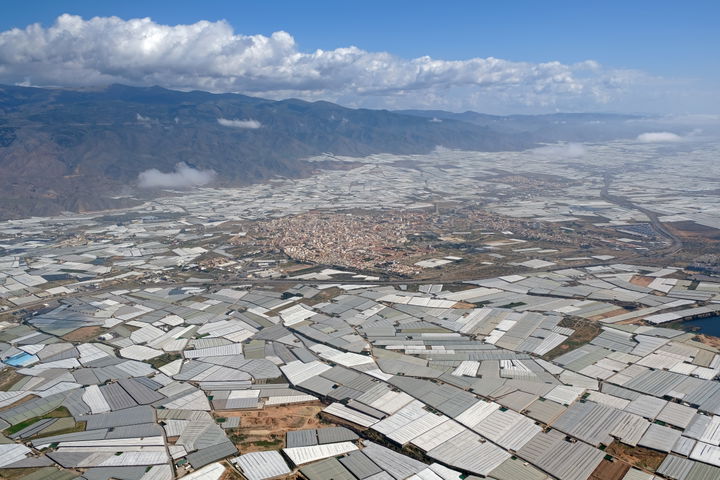 El Ejido district