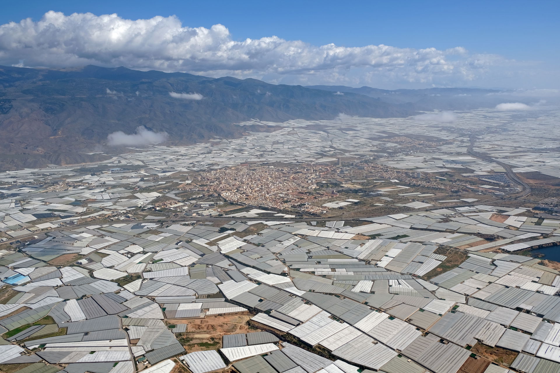 El Ejido view 1