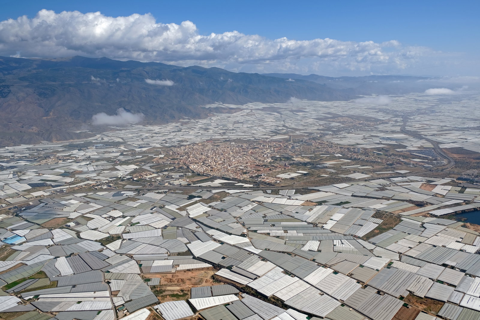 El Ejido district