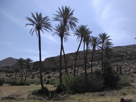 Las Norias de Daza view 2