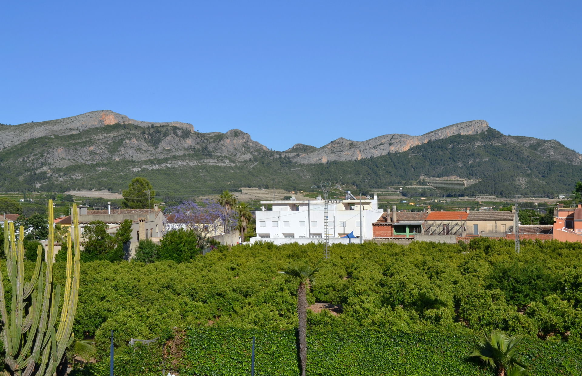 Safor view 3