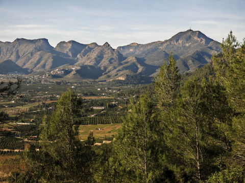 Safor view 2