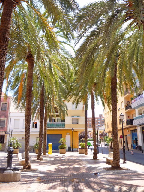 Benipeixcar view 2