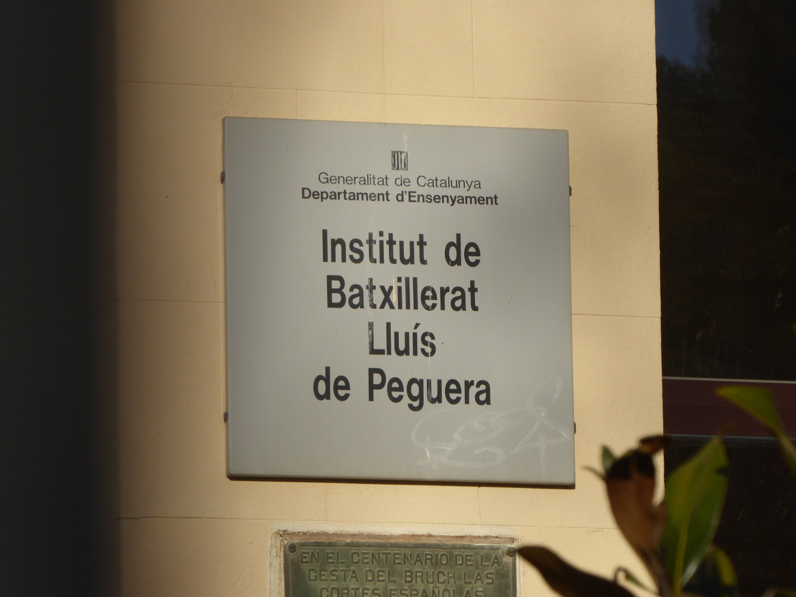 Instituts district