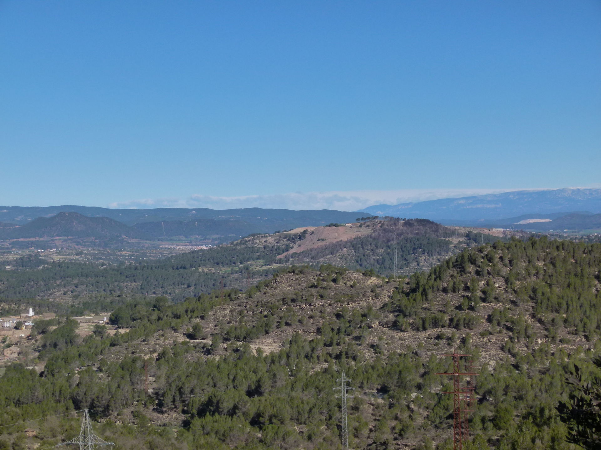 Bufalvent view 2