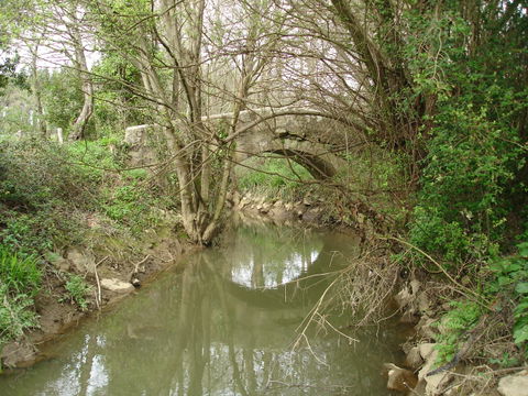 Freixeiro view 2