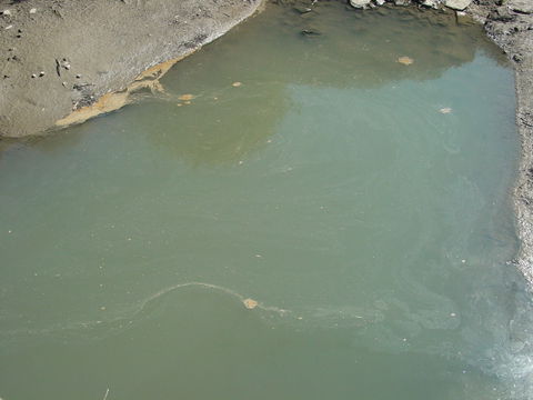 Freixeiro view 3