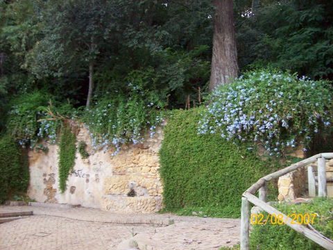 Oromana view 3