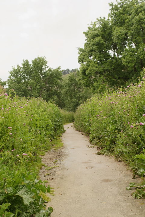 Parque Regional del Sureste view 2
