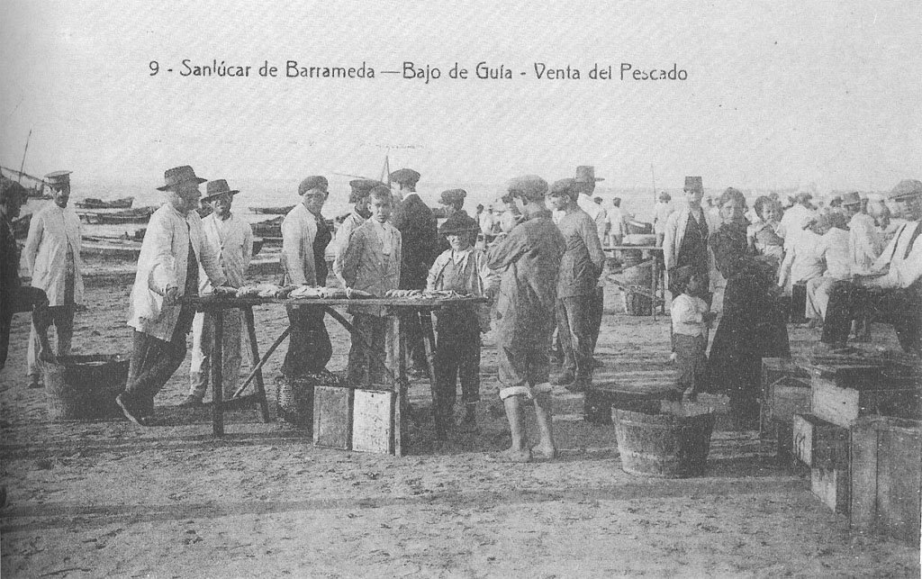 Bajo de Guía district